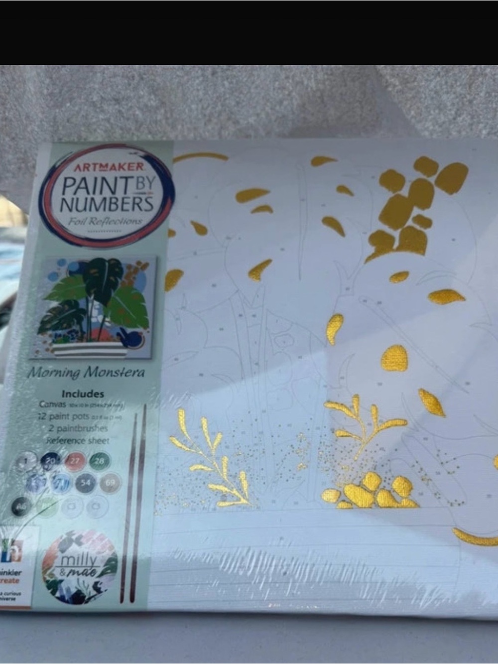 Morning Monstera Paint-by-Numbers Canvas - Gold Accents